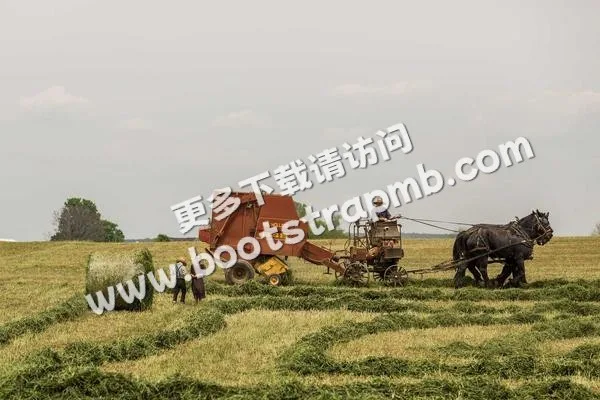 ⊞ Portfolio - 开云体育下载